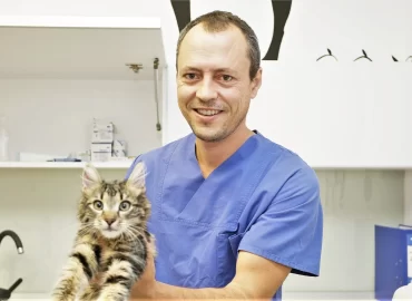 veterinaire-france-roumanie vétérinaire